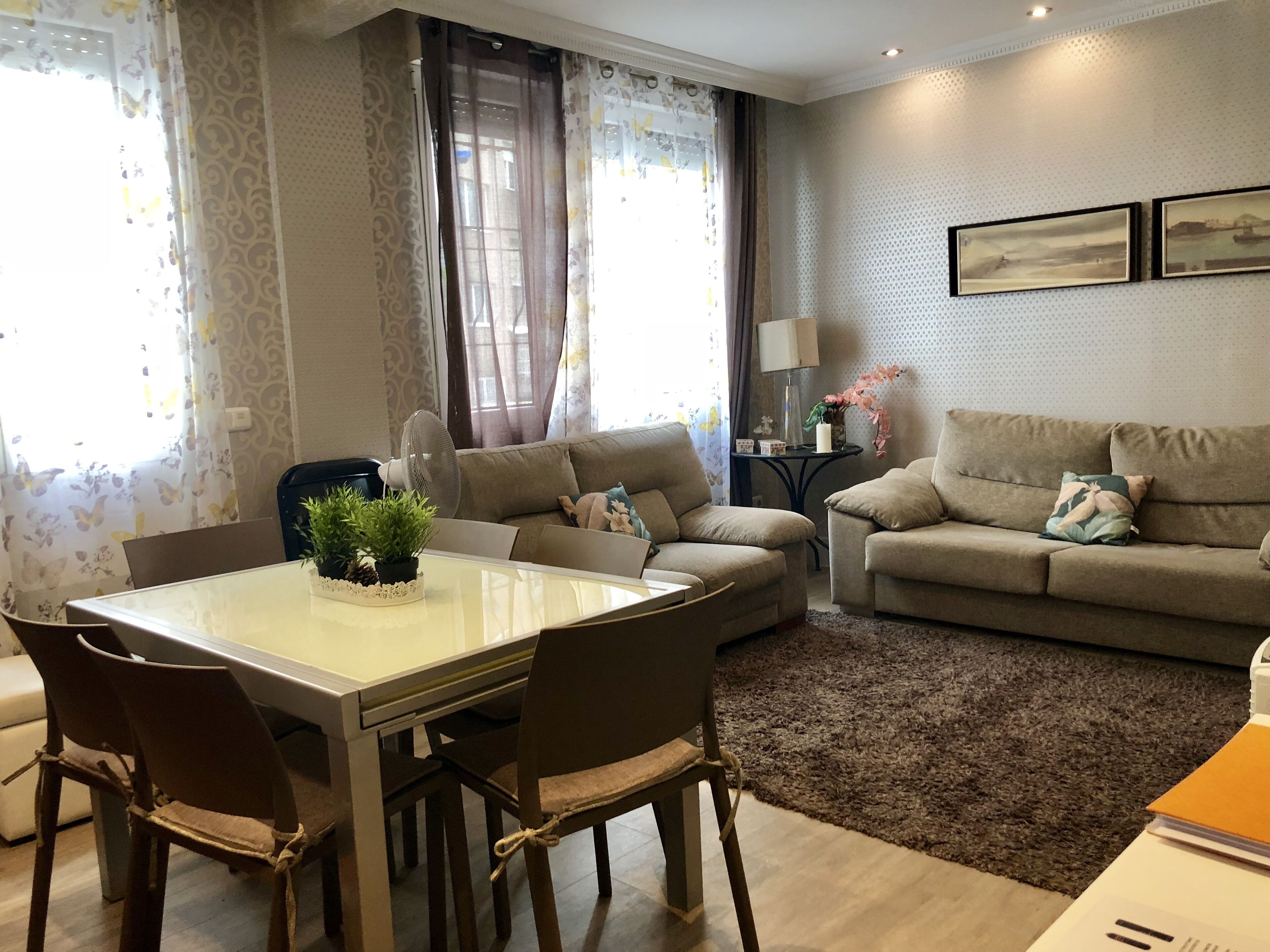 TV, DVD player, books, music library