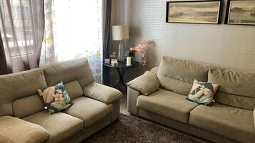 Una televisión, un reproductor de DVD, libros, una biblioteca de música