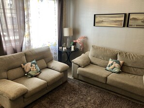 Een televisie, een dvd-speler, boeken en een muziekbibliotheek