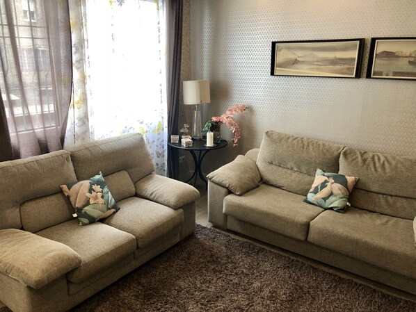 TV, DVD player, books, music library