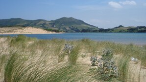 A coastal landscape with a sandy beach, grassy dunes, and a hill in the background.
