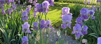 Great Appartment Renovated Old French Stone Farmhouse