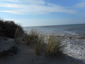 Playa en los alrededores 