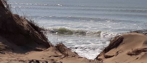 Una playa cerca
