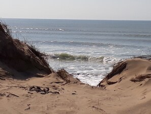 Playa en los alrededores 
