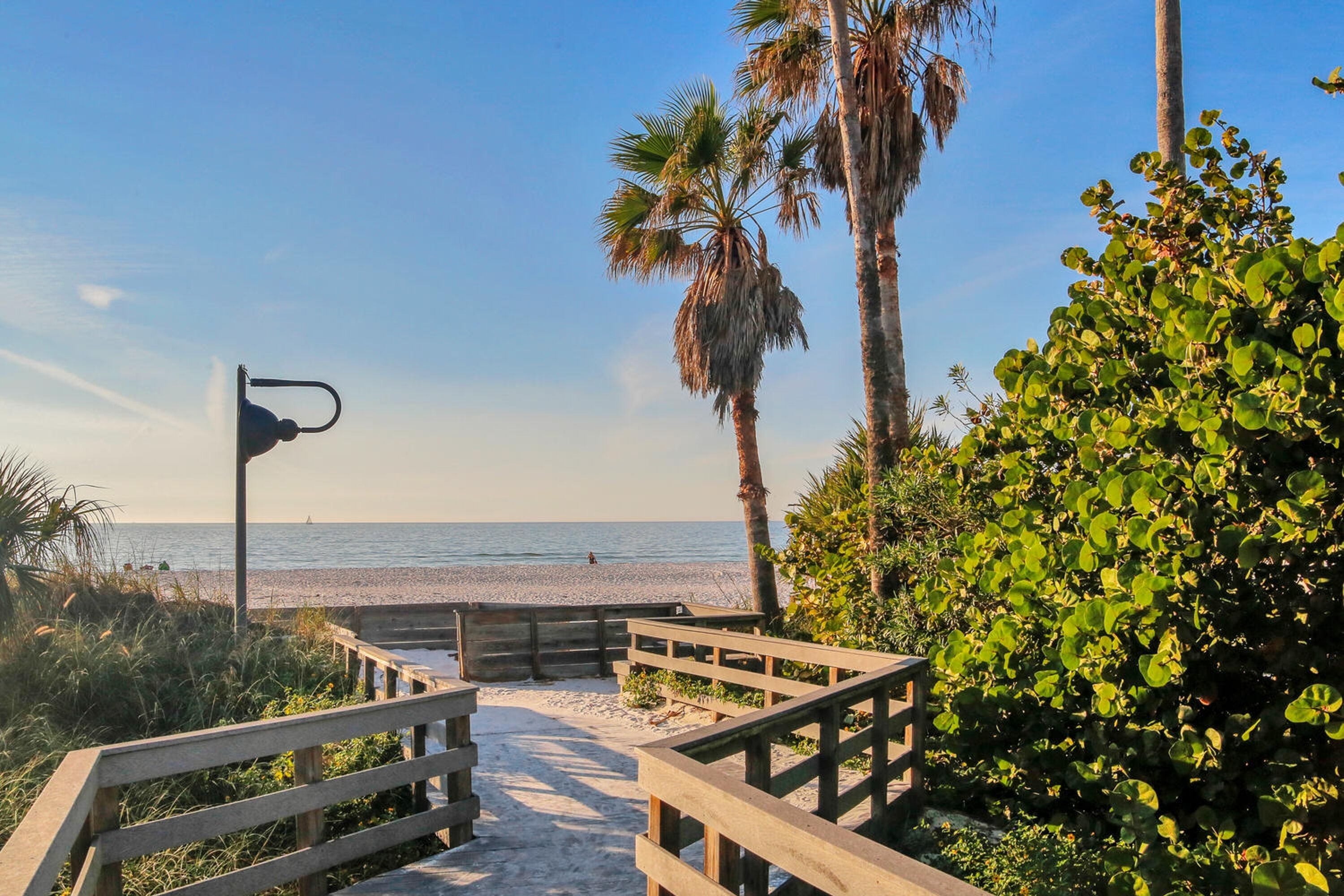 Camastros y toallas de playa 