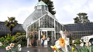 Een kas met koepelstructuur, omgeven door bloeiende planten en een geplaveid pad.