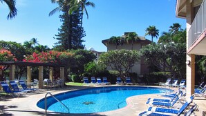 Una piscina con agua azul, rodeada de sillas de descanso y palmeras.