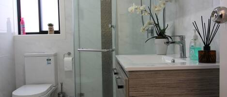 A modern bathroom with a glass shower enclosure, a white toilet, and a wooden vanity with a mirror.