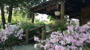 Área da propriedade