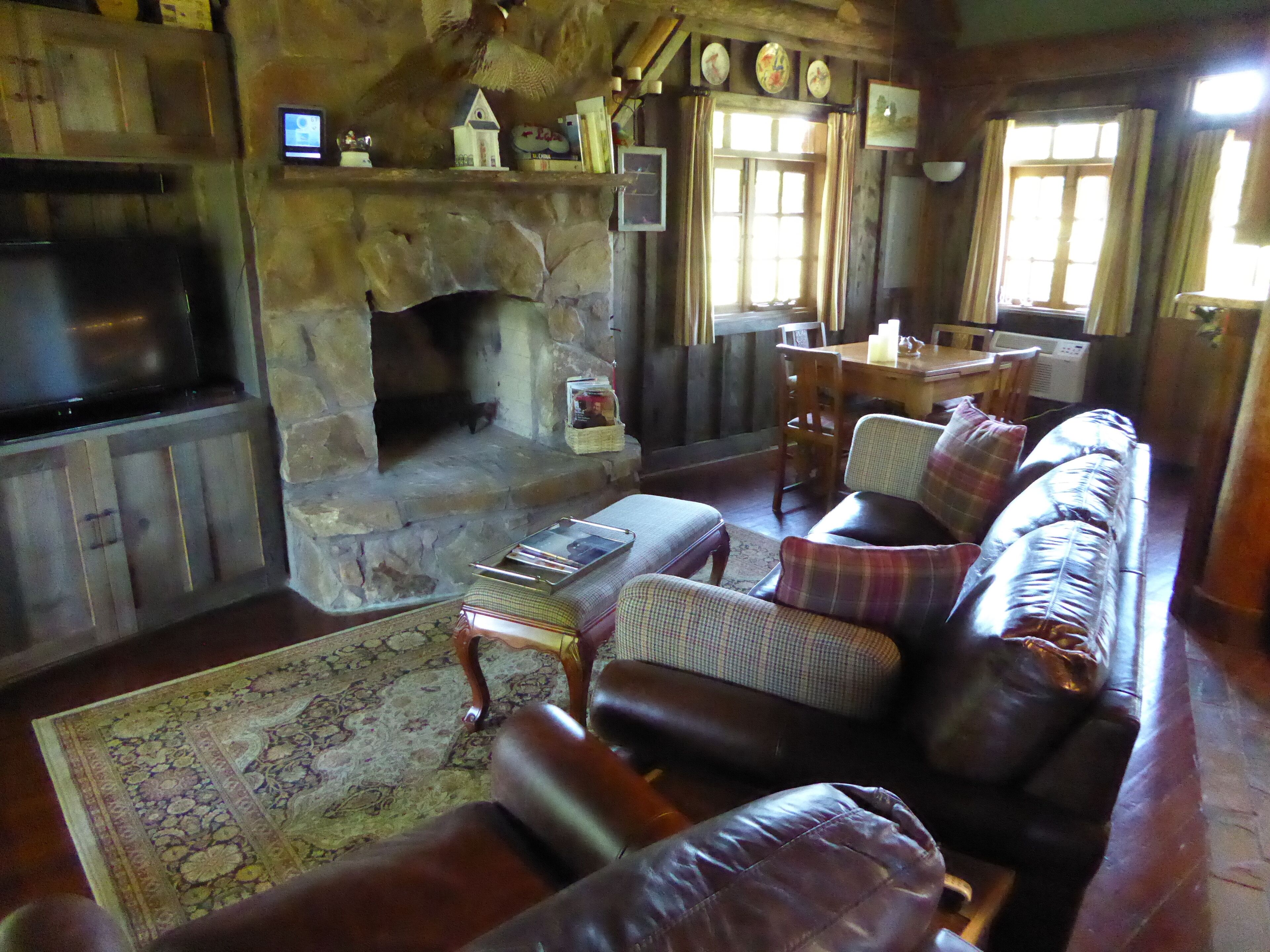 智能电视、壁炉、书