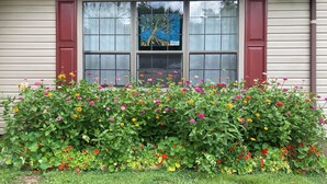 Une maison dotée d’une fenêtre ornée de vitraux, entourée d’une variété de fleurs colorées et de verdure.