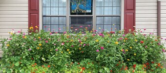 Tallulah House - A remodeled home place now available for short time rental.