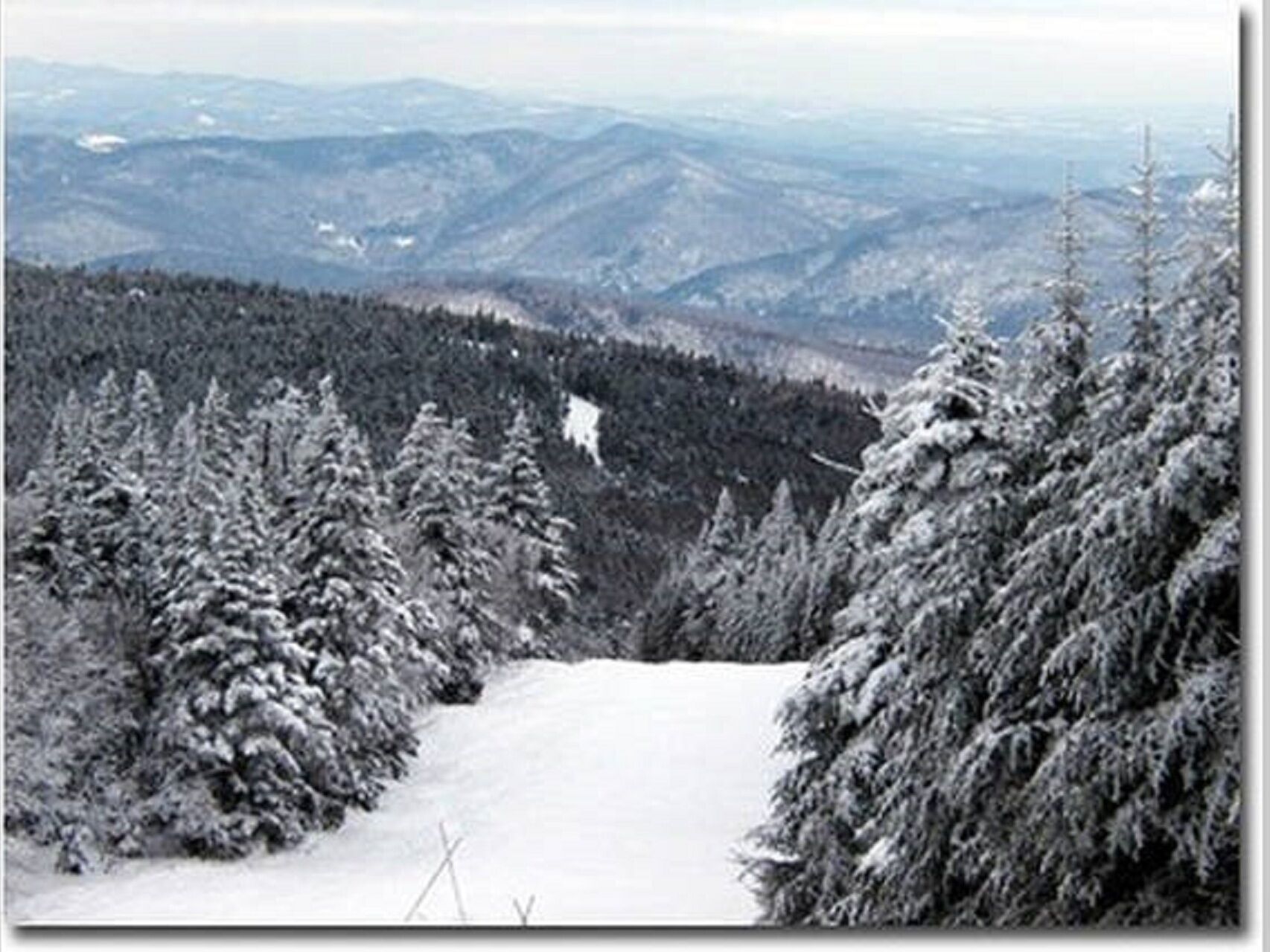 A snowy mountain path with dense evergreen trees on either side.