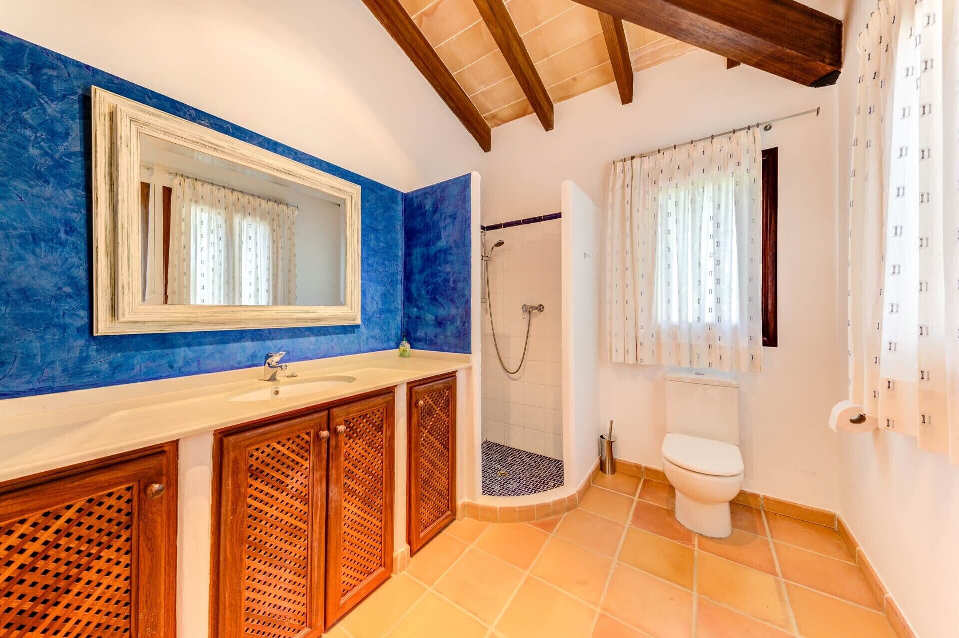 Une salle de bain avec un mur bleu, un meuble-lavabo en bois, un lavabo blanc, une douche et des toilettes.