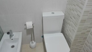 Kylpyhuone, jossa on wc, pesuallas ja WC-harja.