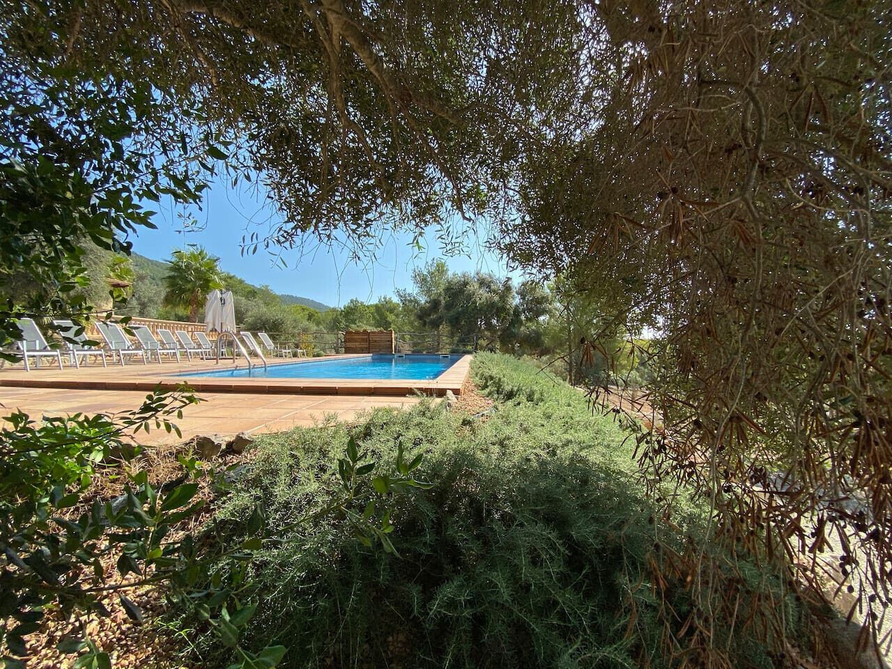 Piscine extérieure