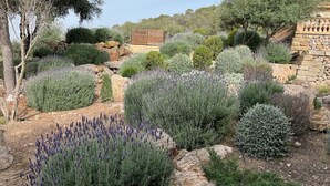 A landscaped garden with various shrubs and a stone wall. - Cottage `Es Garballó`. (Son Servera)
