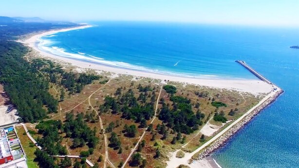 Vue aérienne d’une zone côtière comprenant une plage, une zone boisée et une côte rocheuse.