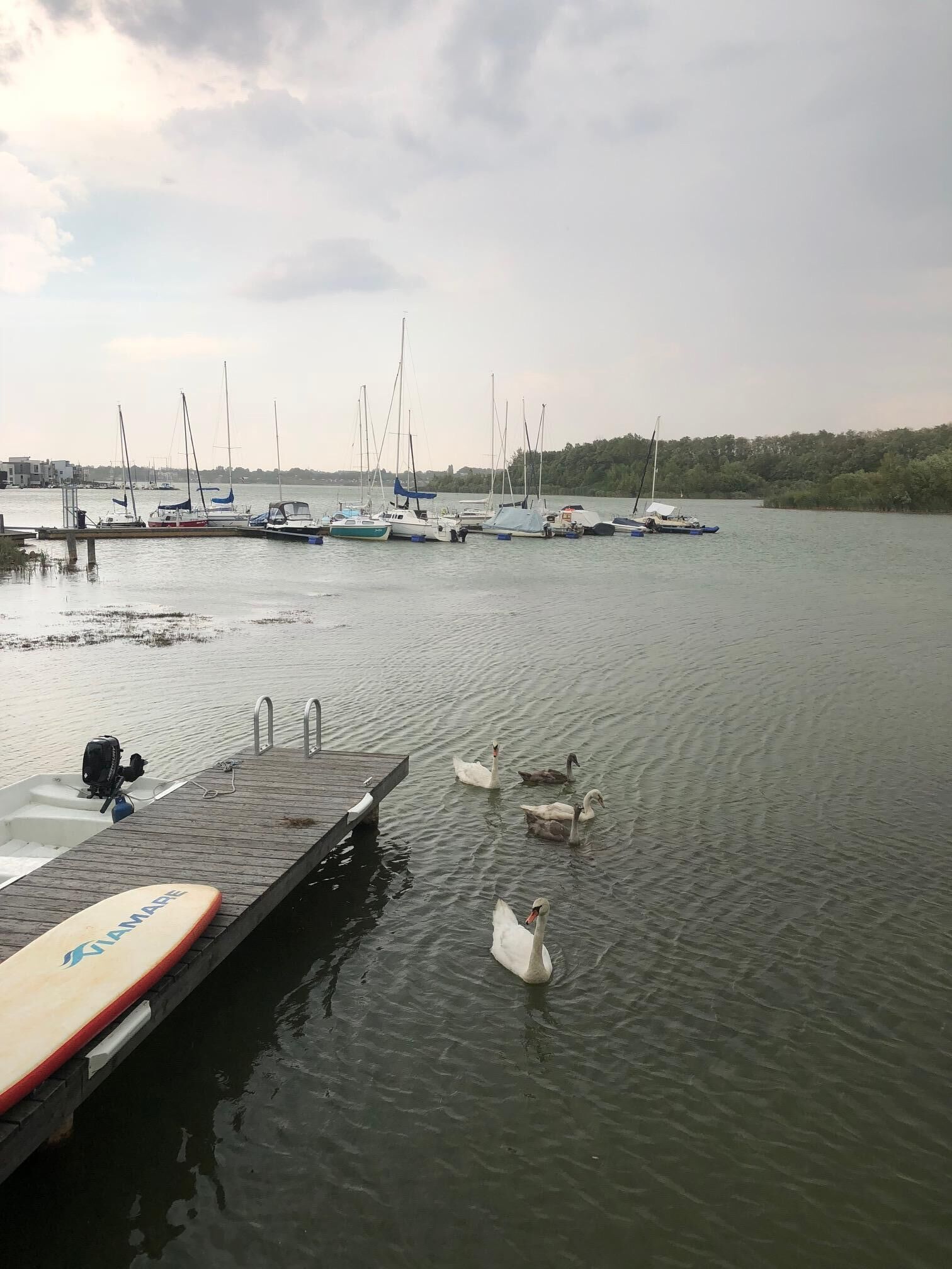 A marina with several sailboats docked.