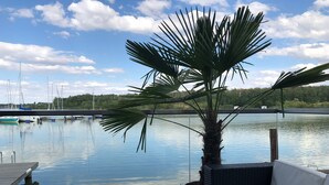 Un espacio exterior tranquilo con un banco acolchado blanco, una palmera en maceta y una masa de agua calma que refleja el cielo.