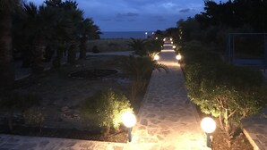 Un sentier menant à une plage bordée de palmiers et dotée d’un chemin pavé.