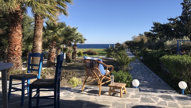 Une terrasse avec vue sur la mer, dotée de mobilier d’extérieur et agrémentée de palmiers.