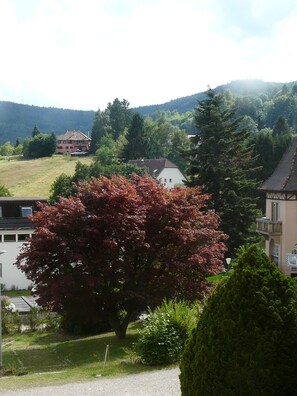 Property grounds - Villa Mon Soleil charming apartment (Le Hohwald)