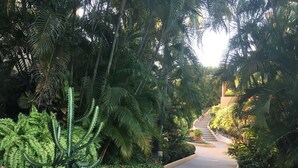 A pathway flanked by lush greenery and a staircase leading to an upper level. - Luxury And Peaceful Little Condo With Direct Access To The Beach (Zihuatanejo)