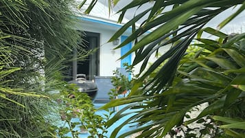 A lush garden with vibrant pink flowers and green foliage, leading to a building with a blue and white facade.