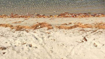 在海滩、沙滩椅