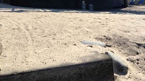 A two-story building with a balcony, a garage, and a sandy ground. - Sandy Beach Oasis on Lake Ivanhoe (Wakefield)