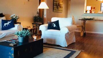 Télévision, cheminée, lecteur de DVD