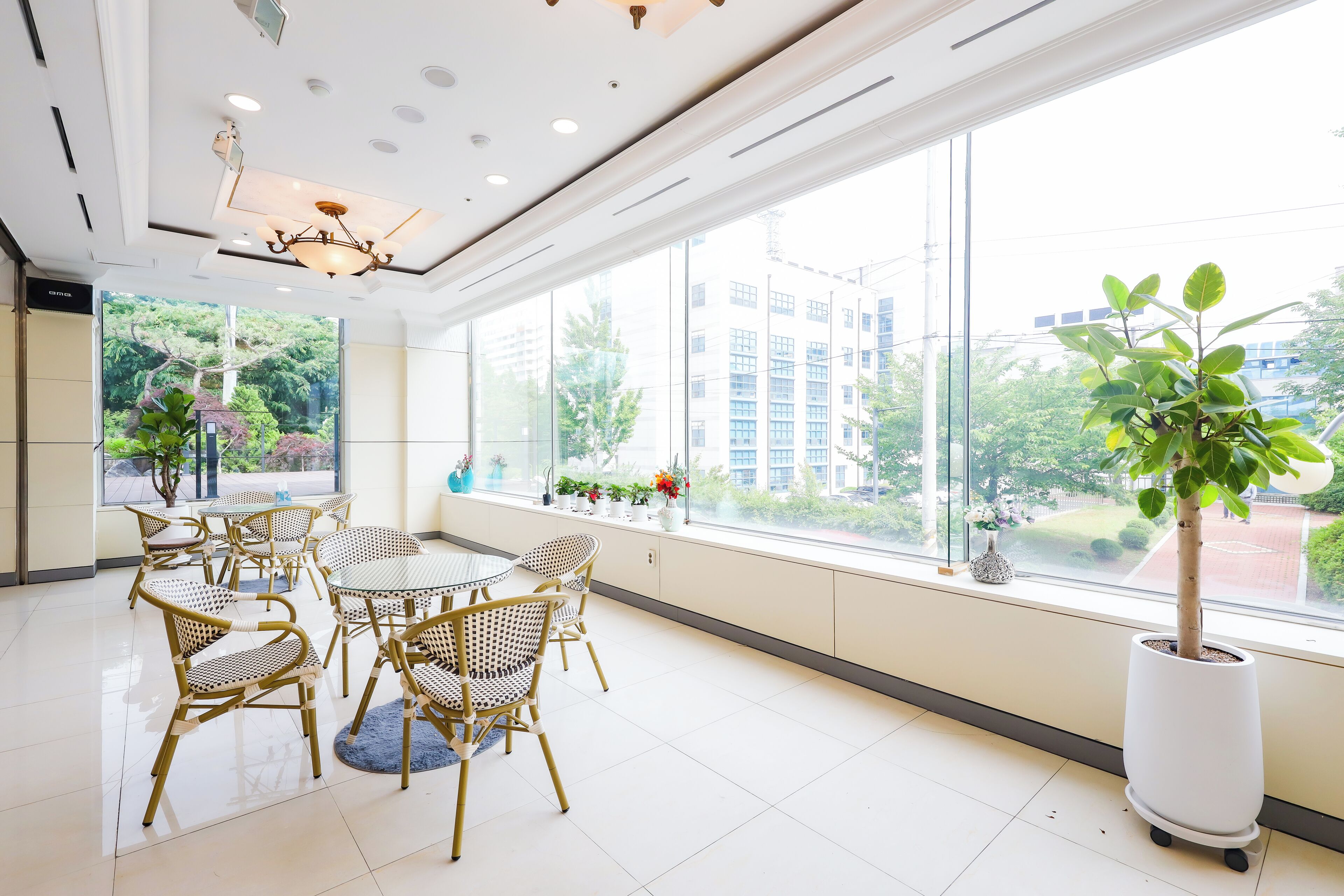 A bright room with large windows, wicker chairs, a potted plant, and a ceiling light fixture.