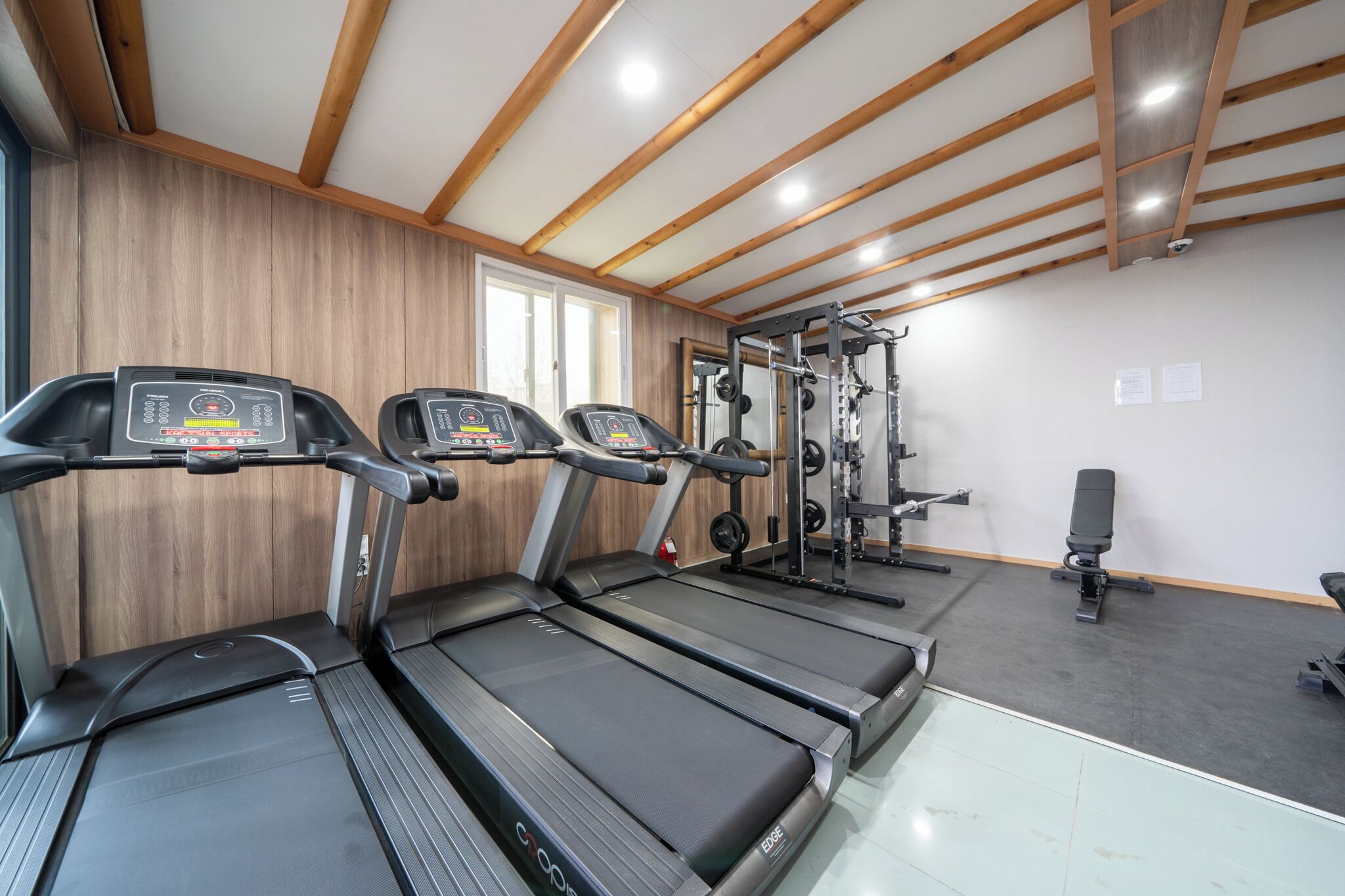 Un gimnasio con cintas de correr, máquinas de pesas y una banca.