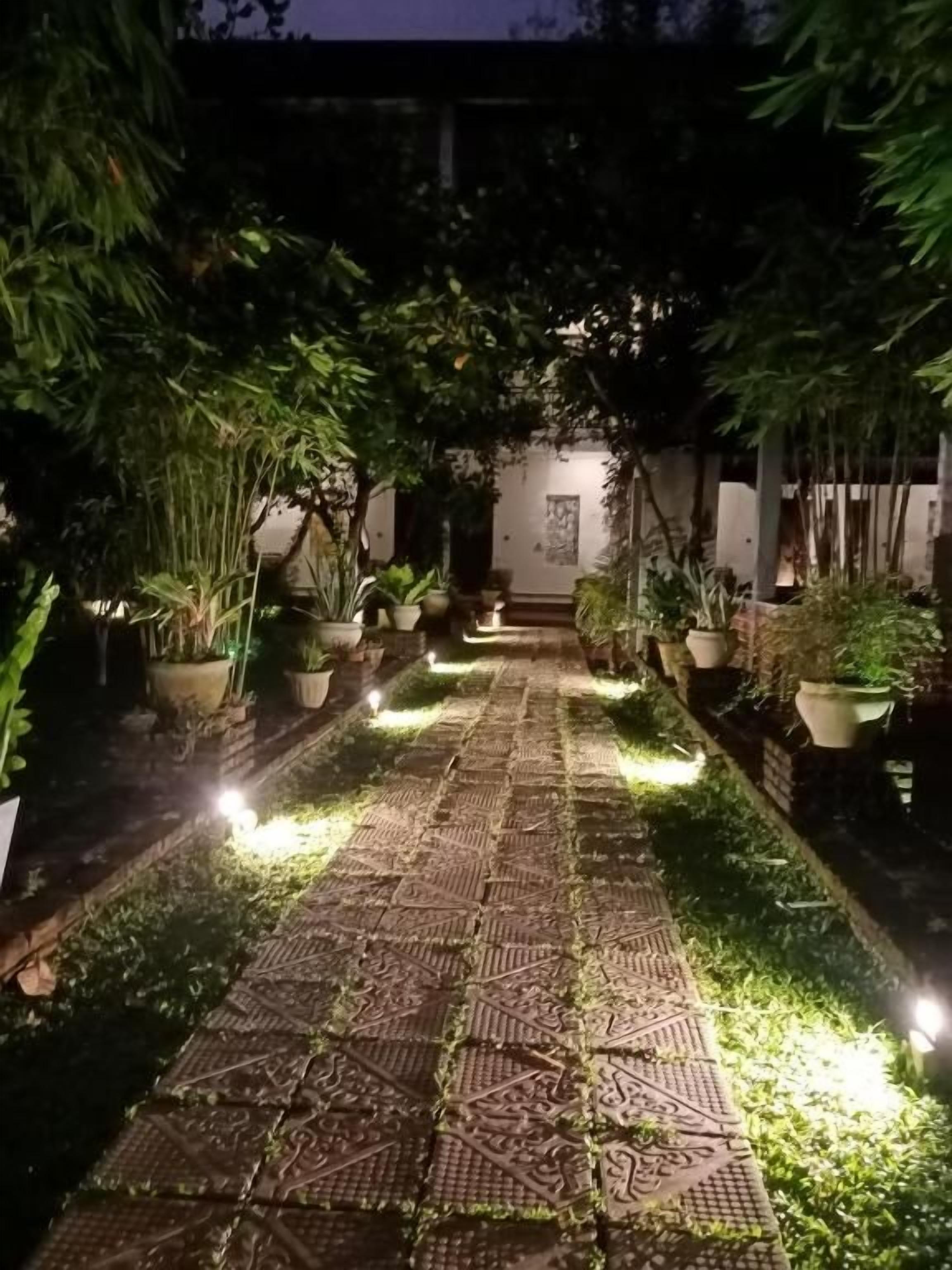 A paved pathway with potted plants on either side, leading to a building with a door.