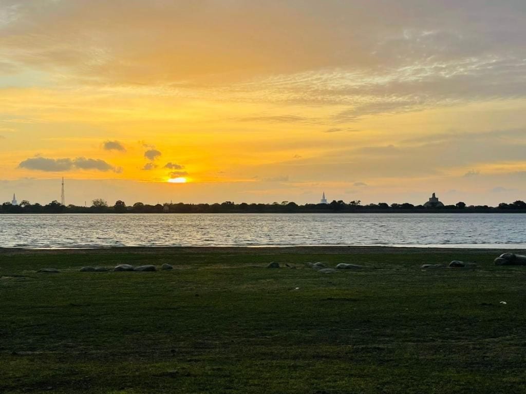 A sunset over a body of water with a grassy foreground and distant buildings.