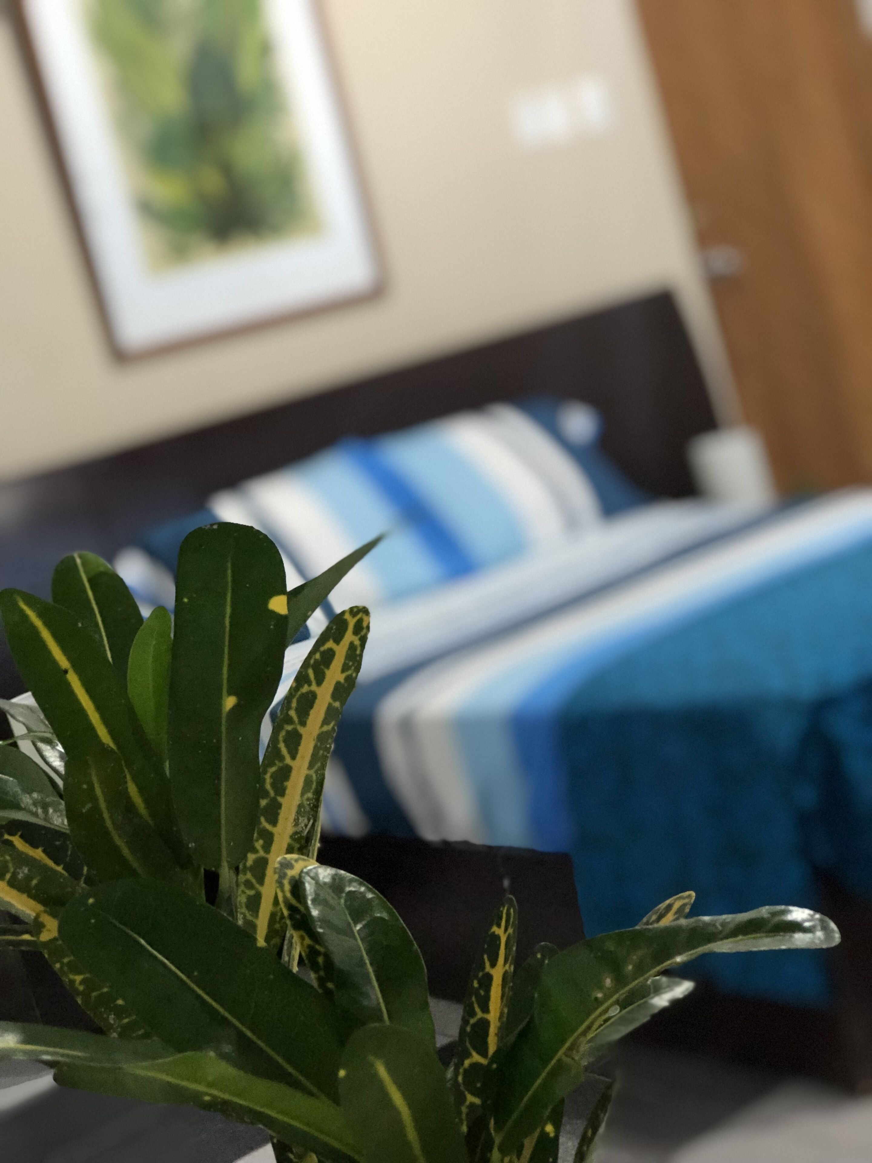 Foto - Poseidon Guest House