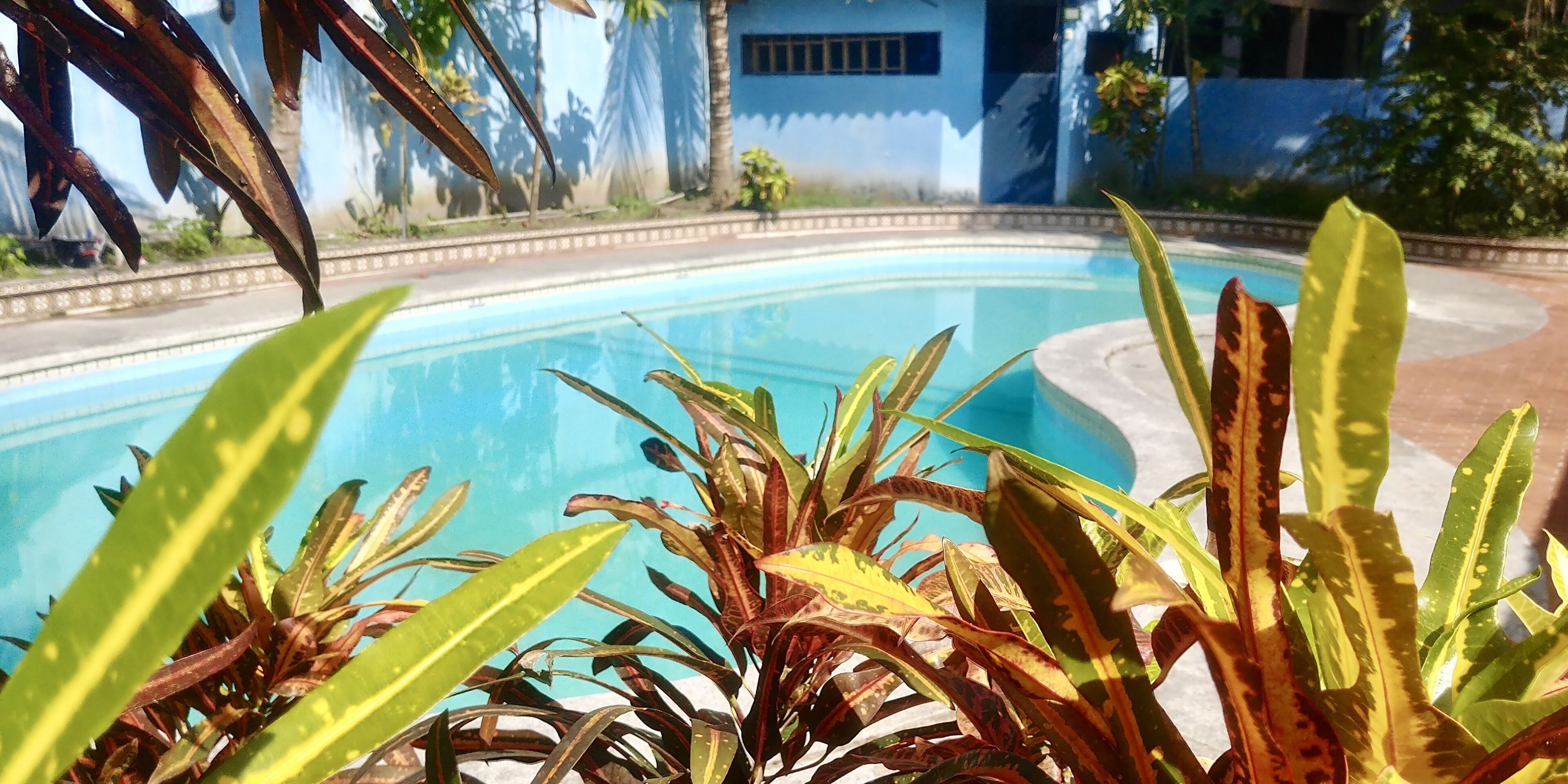 Photo - Poseidon Guest House