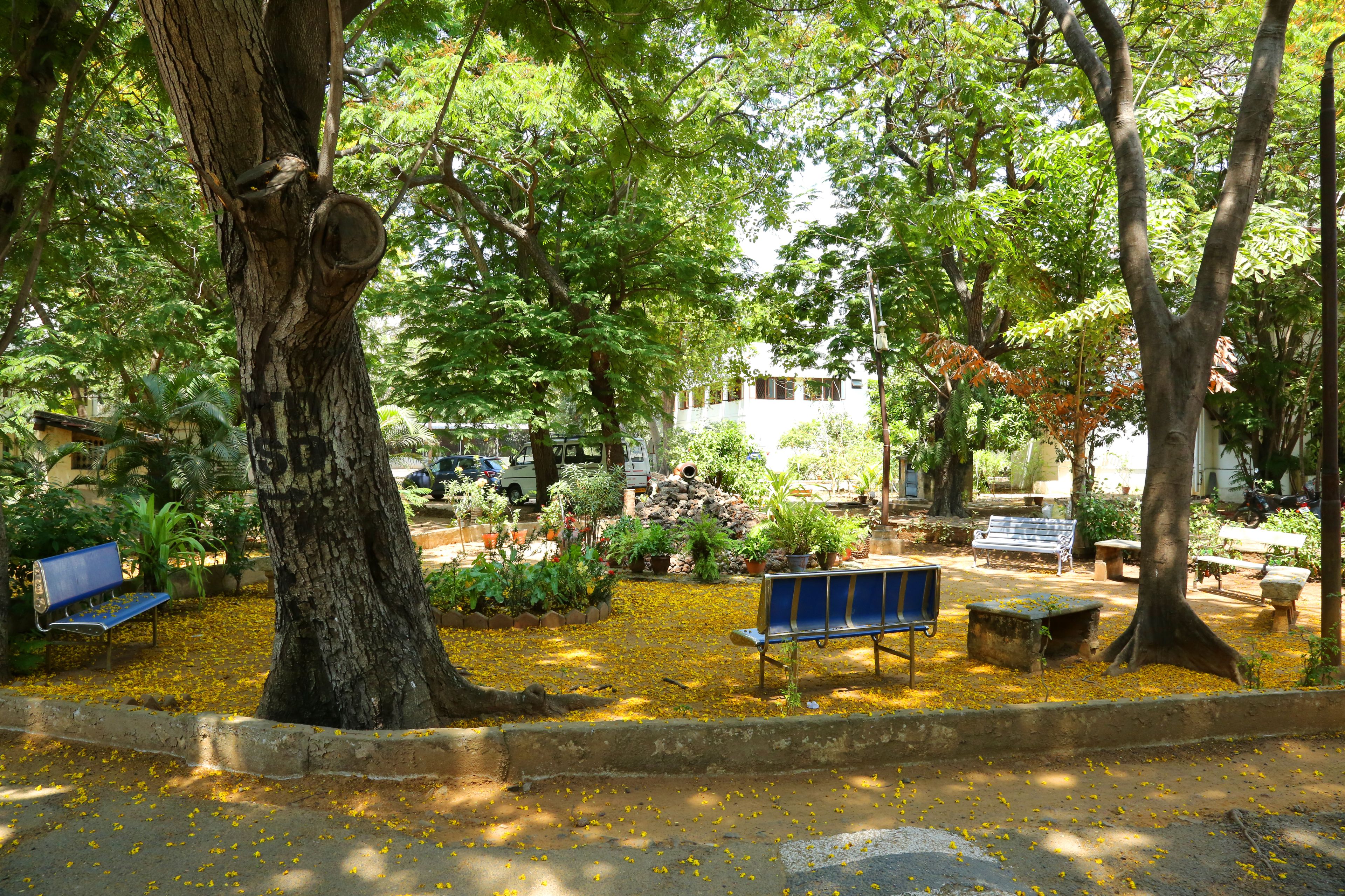 Un parque con bancos, árboles y un sendero.