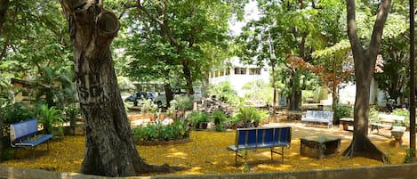 Un parque con bancos, árboles y un sendero.