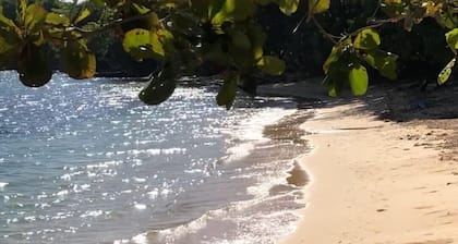 Yksityinen huvila! 3BD / 3BA! Allas. Yksityinen ranta st.