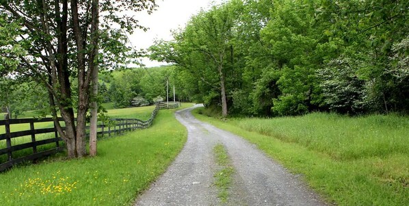A rural road flanked by trees and a wooden fence. - New York City to Mountain Serenity in Two Hours (Pleasant Mount)