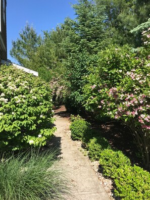 Stroll through the serene garden, lined with lush greenery and flowering shrubs along a paved pathway.