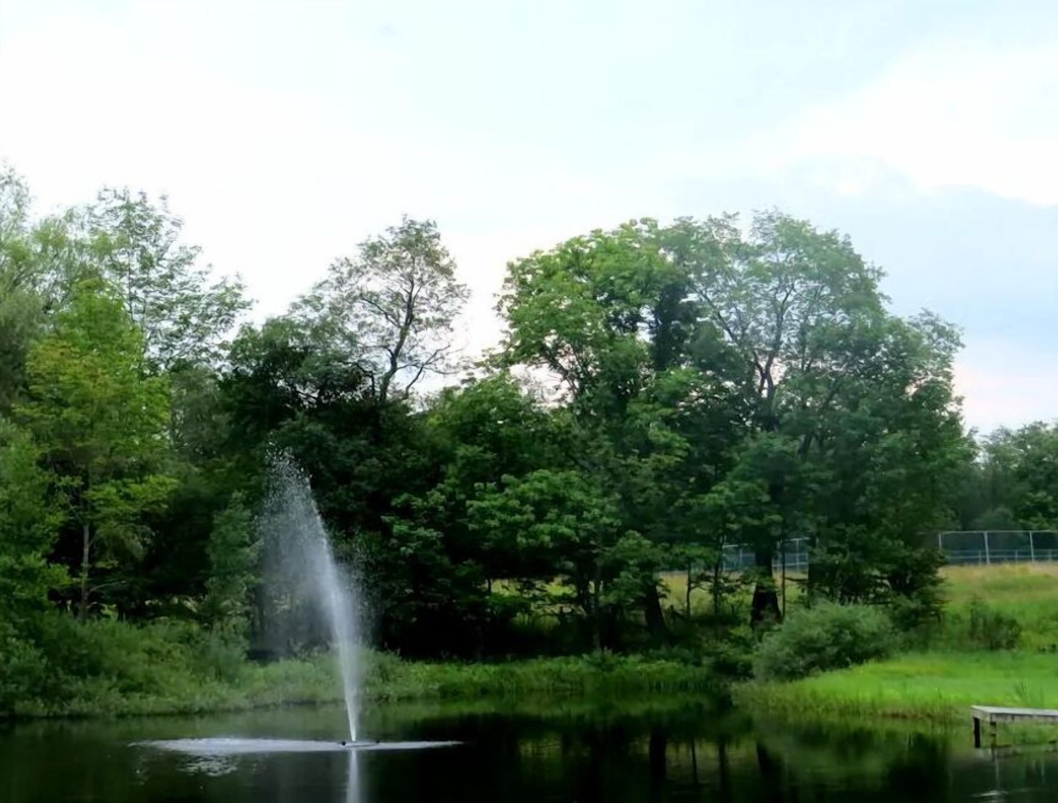Un étang paisible avec une fontaine, entouré d’une végétation luxuriante et d’arbres.