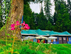 Property grounds - Pine View Resort - Gulmarg (Baramula)