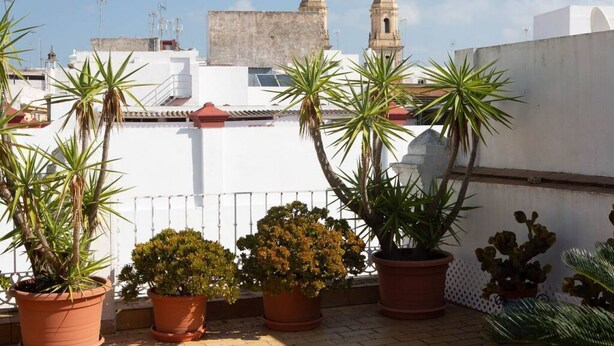 Terraza en la azotea con plantas en macetas y vistas a un edificio histórico con torres.