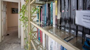 Una estantería con libros y una planta.