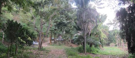 Estacionamiento gratis