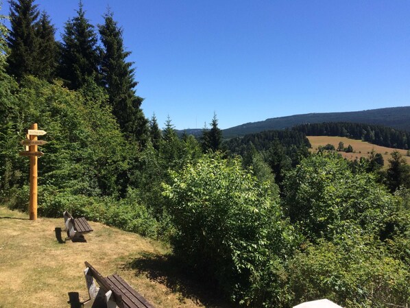 Unclassified image, 1 of 13, button